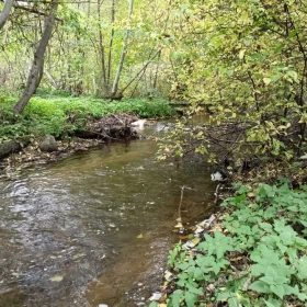 Sprzedam Działke nad Rzeką Jeziorem