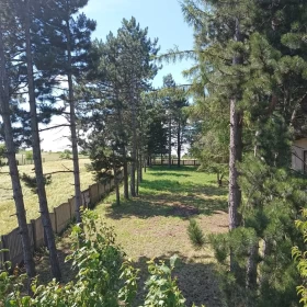 Wynajmę Dom na działce 1400 m.kw. do wynajęcia