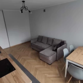 WYnajmę 2 pokojowe mieszkanie, Łódź Śródmieście-Uniwersytecka