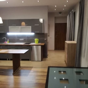 Sprzedam Stare Podgórze Duża Kawalerka Kraków