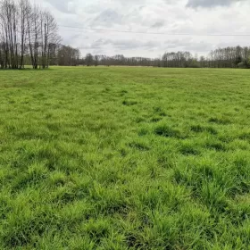 Sprzedam działkę budowlaną Gostynin