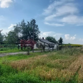 Sprzedam Dom przy lesie 48 m² / 10ar Dominów pow. świdnicki  Gm. Mełgiew