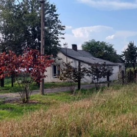 Sprzedam Dom przy lesie 48 m² / 10ar Dominów pow. świdnicki  Gm. Mełgiew