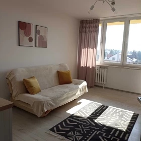 Wynajmę mieszkanie 2 pokoje 45 M2 Ustronie Radom