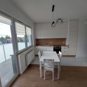 Wynajmę mieszkanie 46m² Stary Boguszyn
