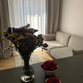 Wynajme mieszkanie Kraków ul. Lwowska