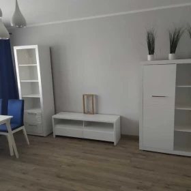 Wynajmę Mieszkanie z ogródkiem Abramowice Prywatne Lubuskie