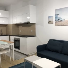 Wynajmę mieszkanie Rzeszów w apartamentowcu, 40m2 z balkonem