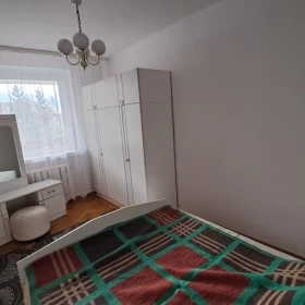 Mieszkanie do wynajęcia Środa Śląska