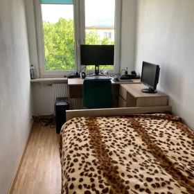 wynajmę dwupokojowe mieszkanie Białystok po remoncie, Starosielce