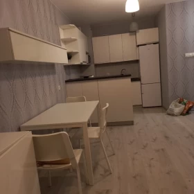 Wynajmę Borkowo, ul.Kasztanowa 75 mieszkanie 41 m2 z miejscem w hali garazowe