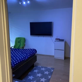 Wynajmę Mieszkanie Kraków do wynajecia 33 m2 pokoj z kuchnią