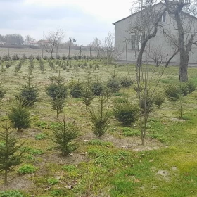 Sprzedam dom z ziemią Sochaczew