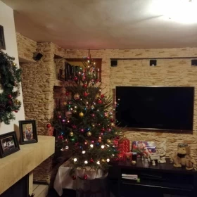 Sprzedam Dom Wojkowice 200m2, 1100m2 ogrodu