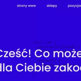 Agencja interaktywna weBites