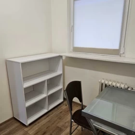 Mieszkanie do wynajęcia, centrum Łodzi