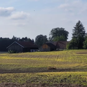 Sprzedam dom na Warmii Różaniec Pieniężno kolonia