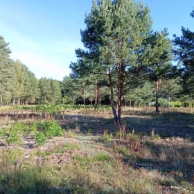 Działka budowlana/ Wypychów -Podlesie