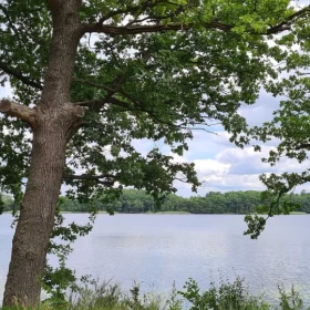 Sprzedam atrakcyjna działka budowlana nad jeziorem 20 km od morza Salino