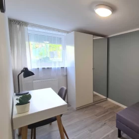 Pokoj w centrum Krakowa Wynajmę