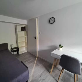 Pokoj w centrum Krakowa Wynajmę