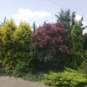Ładny dom z magazynem, ogród, Kobylniki 15 km od centrum Poznania.