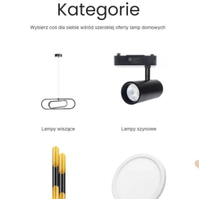 Sprzedam skep internetowy + towar. Binzes e-commerce