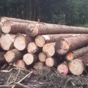 Drewno tartaczne, kłoda, dłużyca świerkowa,wałek na palety