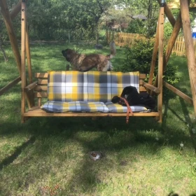 Działka ,ogródek działkowy.ROD Pilczyce ul.Hutnicza.Wrocław Fabryczna