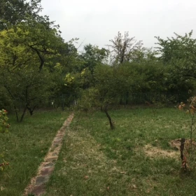 Działka ,ogródek działkowy.ROD Pilczyce ul.Hutnicza.Wrocław Fabryczna