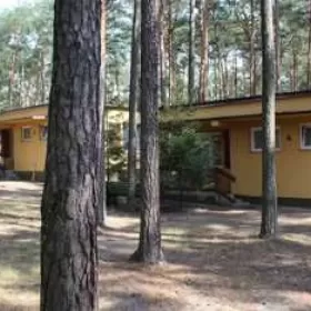 Wynajmę pokój Sielpia Domki Pokoje SOWKA