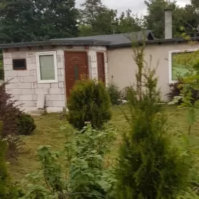 Działka rekreacyjna Toruń ROD