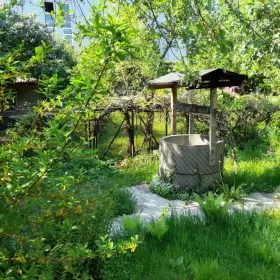 Ogródek działkowy ROD Sosnowiec