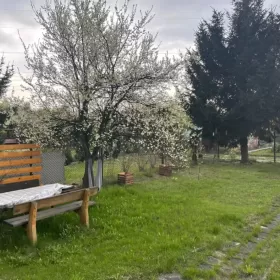 Sprzedam ogródek działkowy