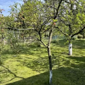 Ogródek działkowy