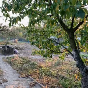Ogródek działkowy Osobiwice Wrocław