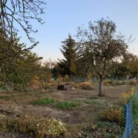 Ogródek działkowy Osobiwice Wrocław