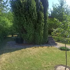 Rodzinny ogród działkowy, działka ROD
