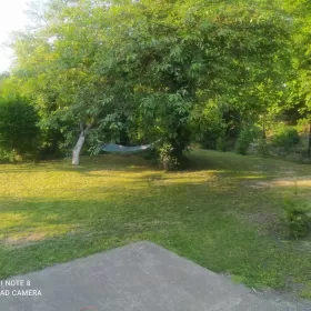 Sprzedam ogródek działkowy