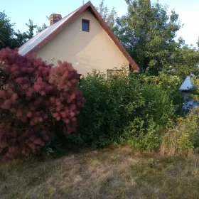 Działka rekreacyjna/ Ogródek działkowy
