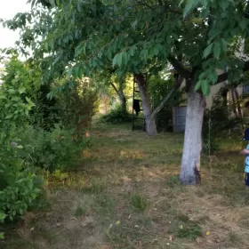 Działka rekreacyjna/ Ogródek działkowy