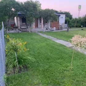 Sprzedam Ogródek Działkowy Bytom