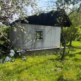 Ogródek działkowy ROD Partynice