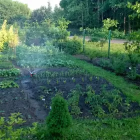 DZIAŁKA REKREACYJNA 540 m2 na sprzedaż