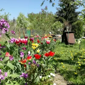 DZIAŁKA REKREACYJNA 540 m2 na sprzedaż