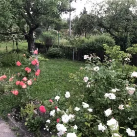 Ogródek działkowy sprzedam