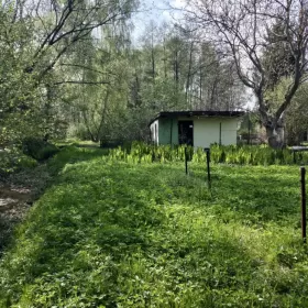 Ogródek działkowy Radom na sprzedaż