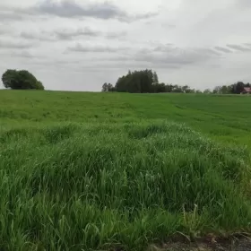Na sprzedaż działka budowlana w Brzeźnicy!
