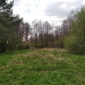 Atrakcyjna działka w Wilkowicach