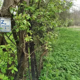 Atrakcyjna działka w Wilkowicach